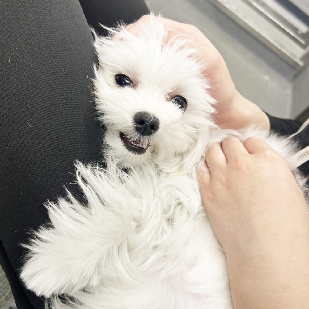 生徒が撮影した写真を送ってくれました①